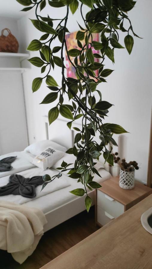 Super Cozy & Central Apartment Budapest Eksteriør bilde